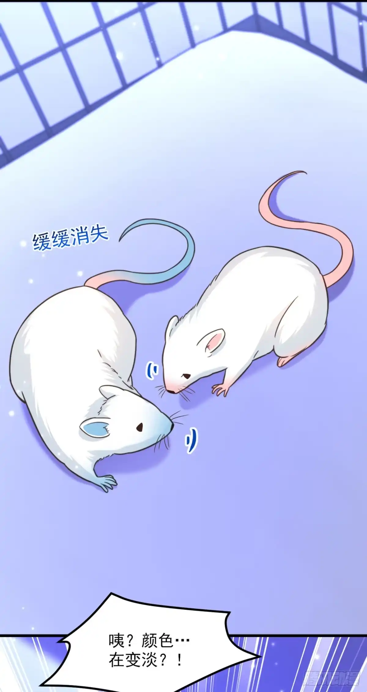 《重生空间：大小姐不好惹》第346话 永远待在薄倾昂身边 第17页