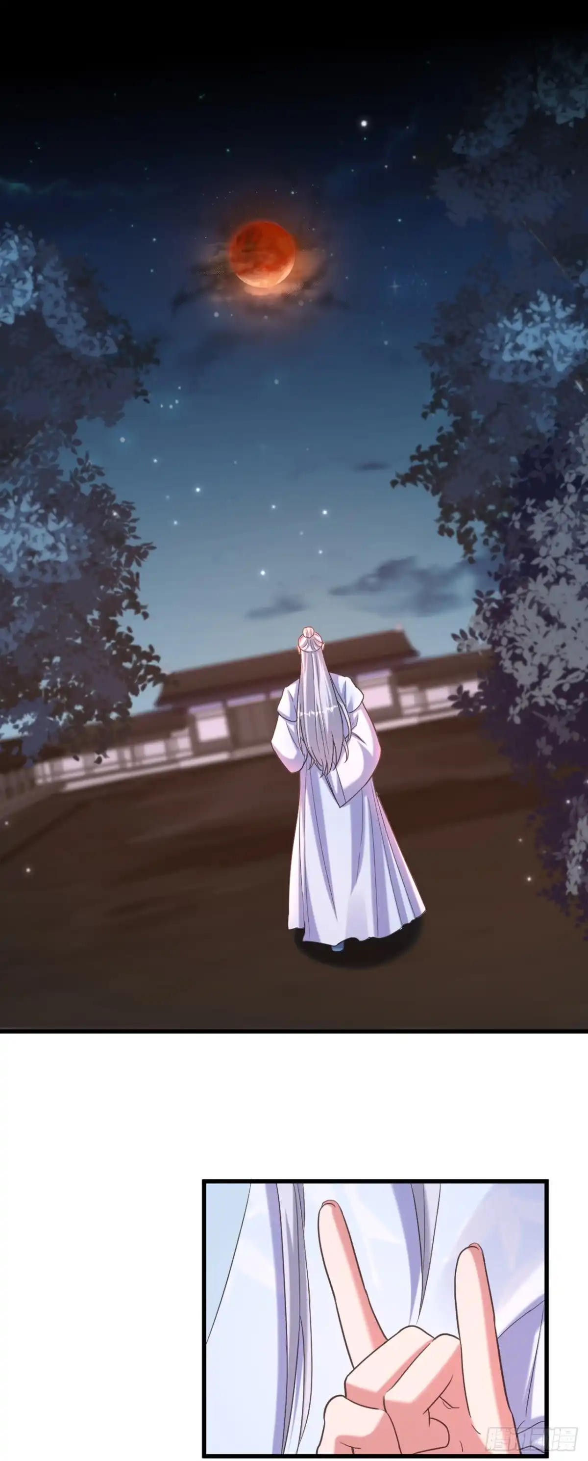 《重生空间：大小姐不好惹》第402话 紫微星？皇族之人？ 第2页