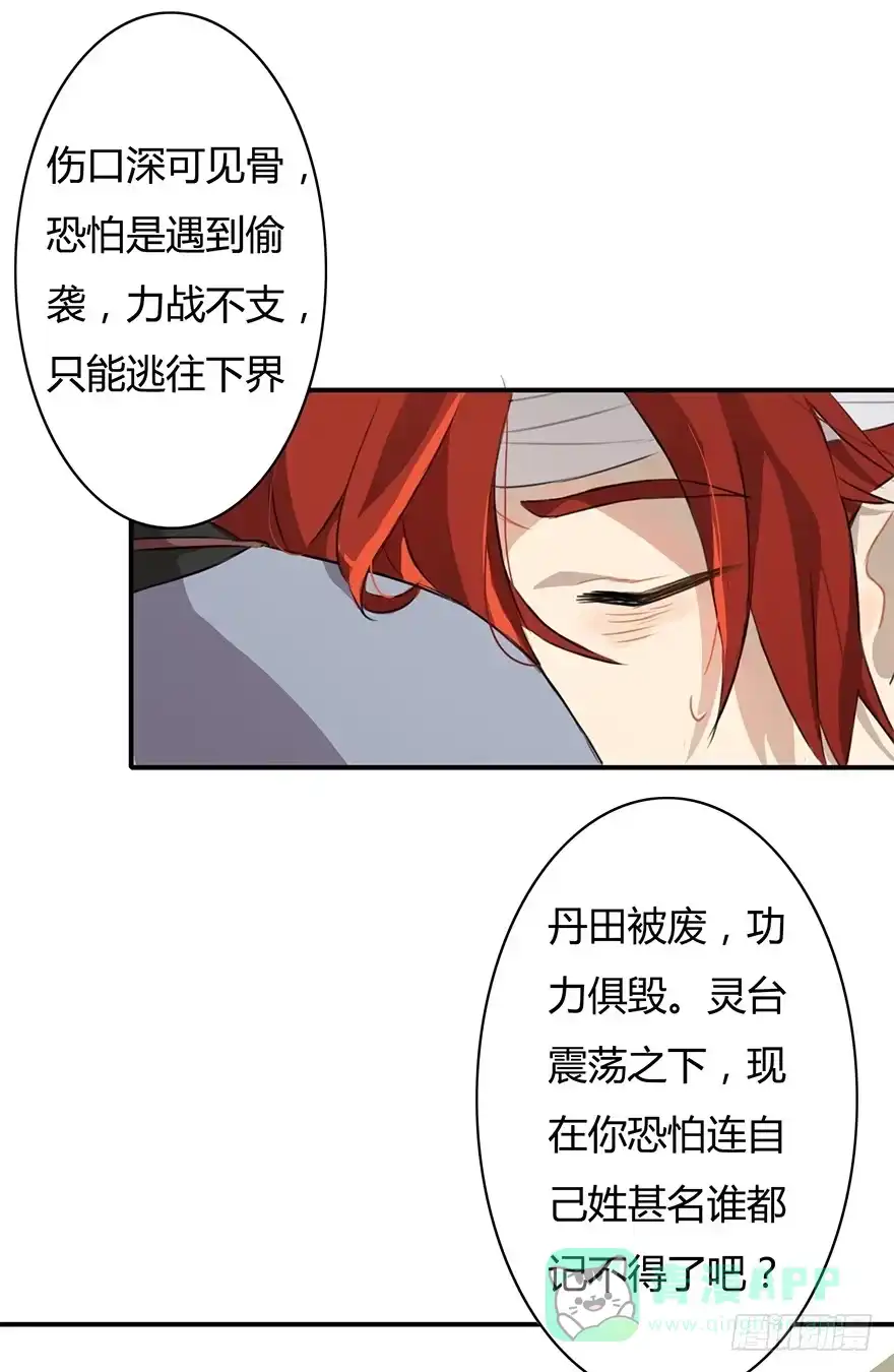 《重生魔尊致富经》天上掉下个龙琰君 第26页