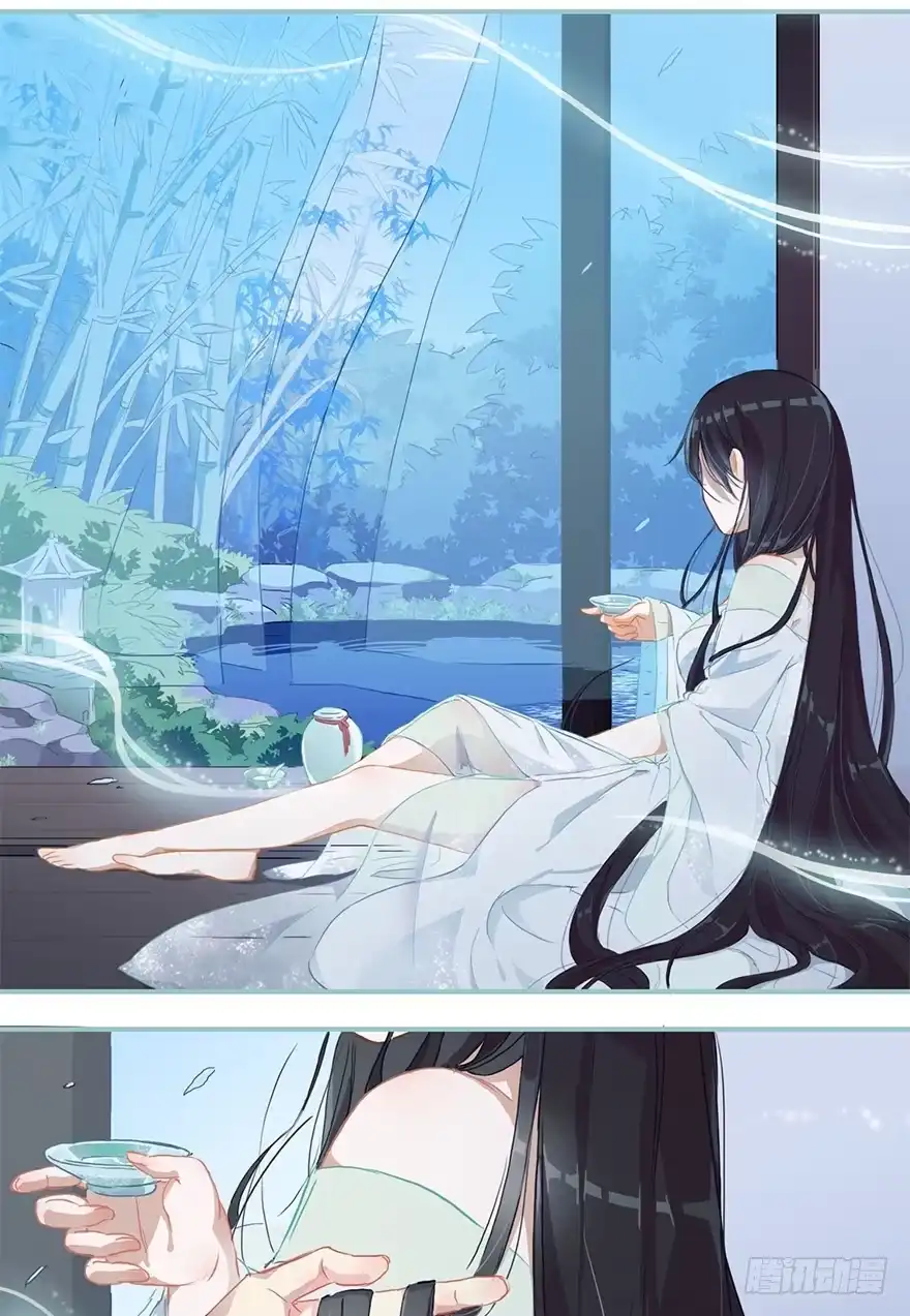 《重生魔尊致富经》美酒佳人 第8页