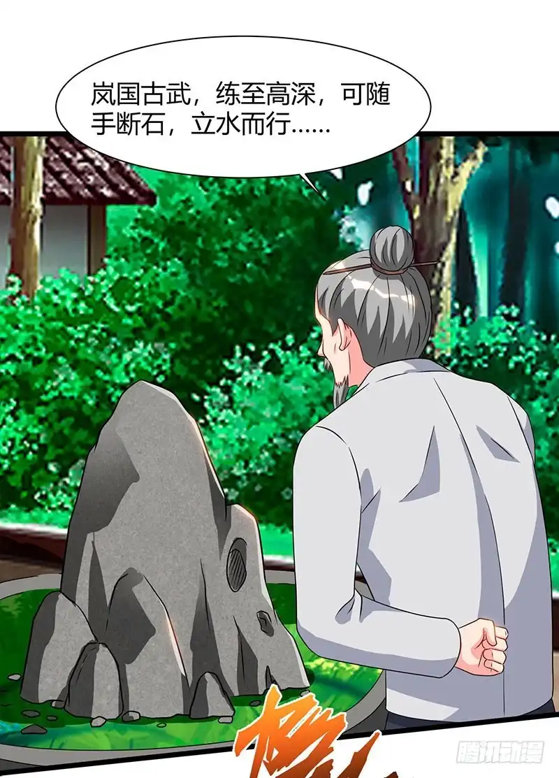 重生弃少归来 第59话 岚国古武 第27页