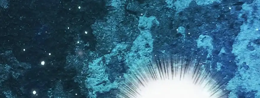 《重生娱乐圈：天后归来》136 第79页