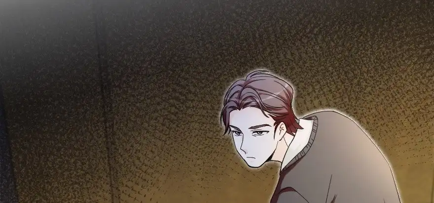 《重生娱乐圈：天后归来》137 第17页