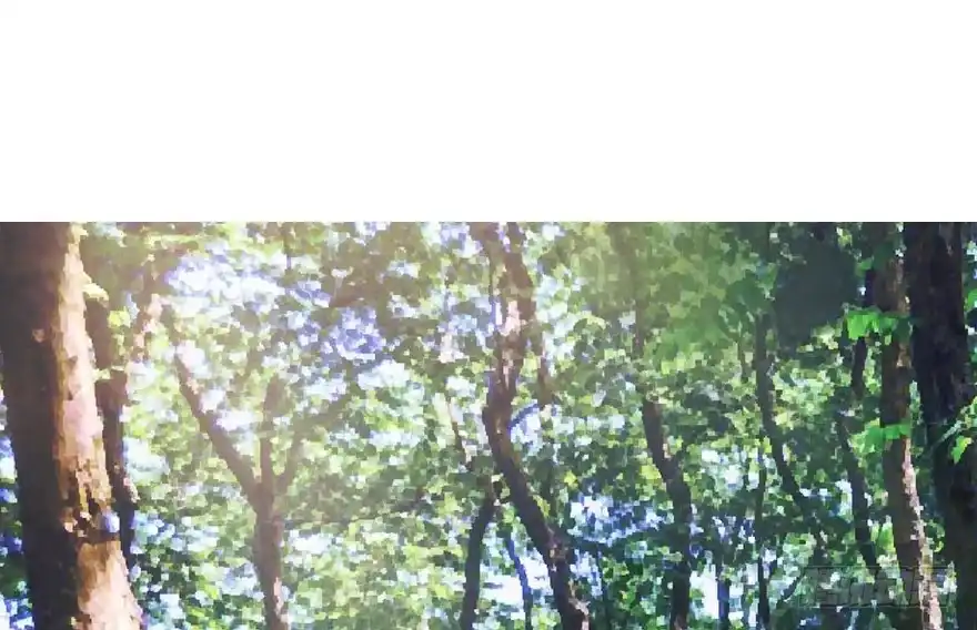 《重生娱乐圈：天后归来》14 第69页