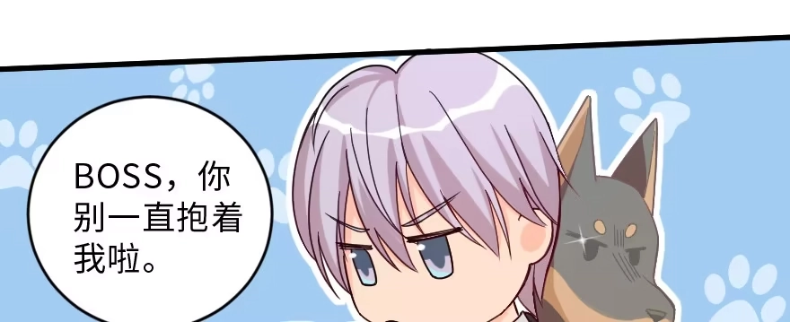 《重生娱乐圈：天后归来》148 第149页