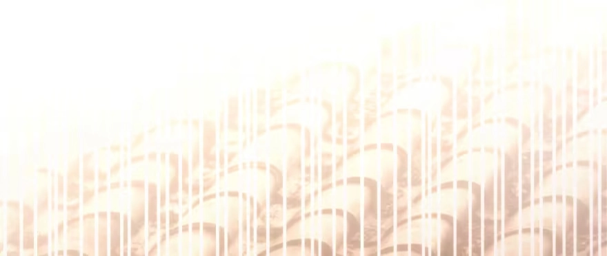 《重生娱乐圈：天后归来》166 第70页