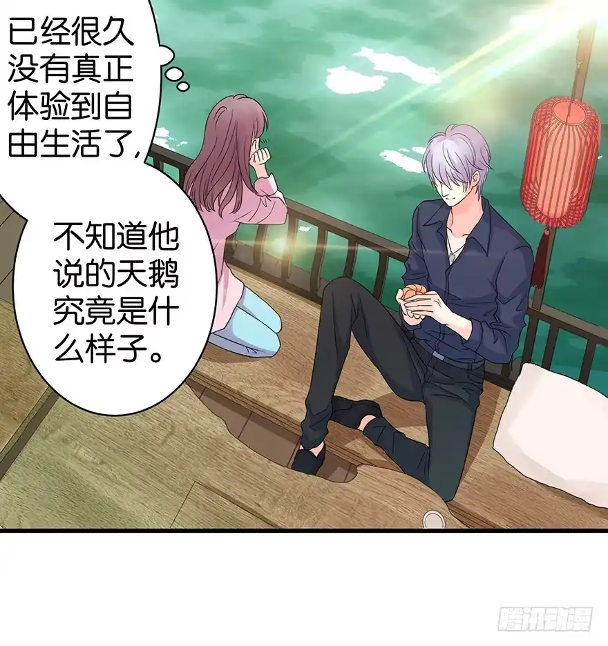 《重生娱乐圈：天后归来》18 第56页