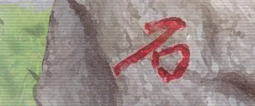 《重生娱乐圈：天后归来》65 第6页