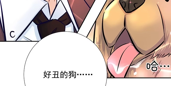 《重生只为追影帝》133.我很担心 第85页
