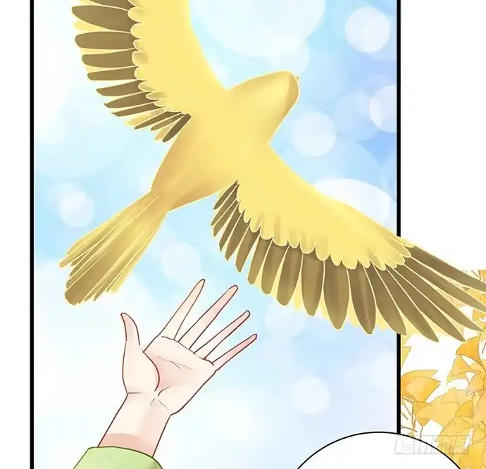 《重生只为追影帝》14.小测试 第34页