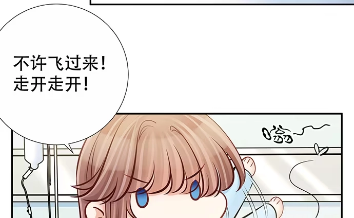 《重生只为追影帝》140.忌口是会呼吸的痛 第43页