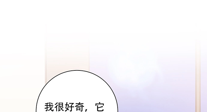 《重生只为追影帝》148.见面礼 第11页