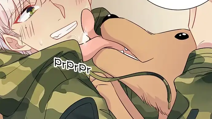 《重生只为追影帝》202.我的愿望是什么？ 第74页