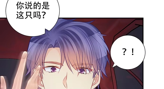《重生只为追影帝》206.公开我们的关系？ 第71页