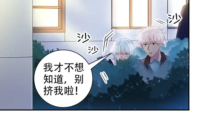 《重生只为追影帝》209.只有我们两人 ？ 第27页