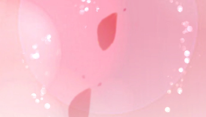 《重生只为追影帝》210.弥补 第128页