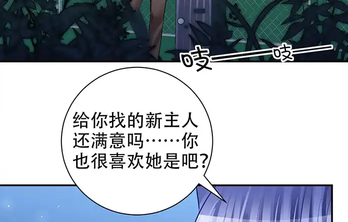 《重生只为追影帝》213.傻瓜 第48页