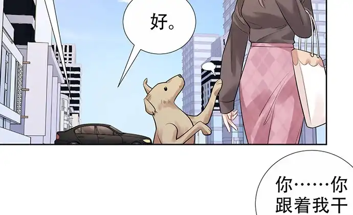 《重生只为追影帝》219.解围 第83页