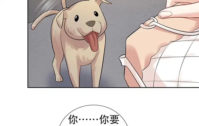 《重生只为追影帝》219.解围 第86页