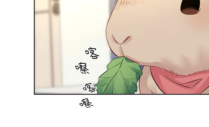 《重生只为追影帝》219.解围 第41页
