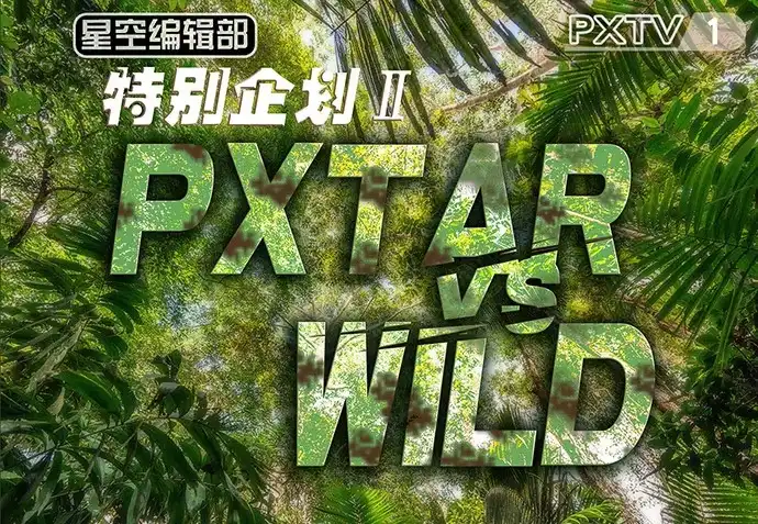 《重生只为追影帝》23.这个影帝，腹黑！ 第66页