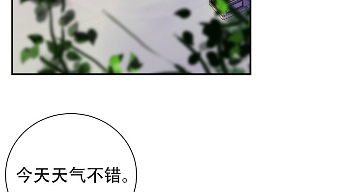 《重生只为追影帝》230.再见红色手账本 第12页