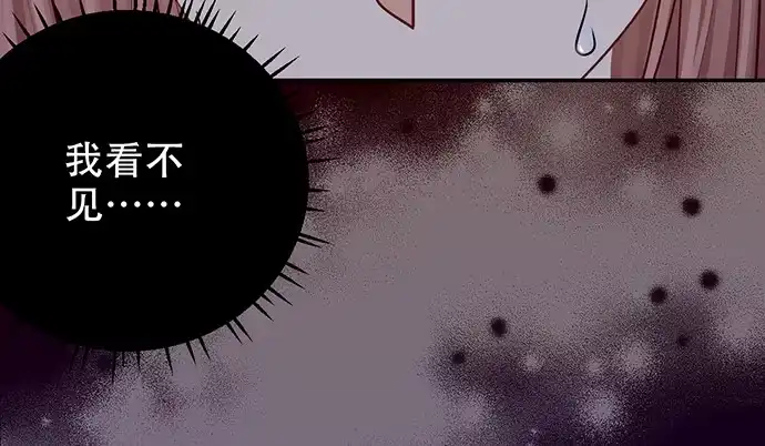 《重生只为追影帝》242.看不到 第141页