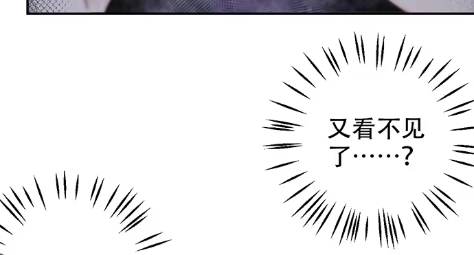 《重生只为追影帝》242.看不到 第30页