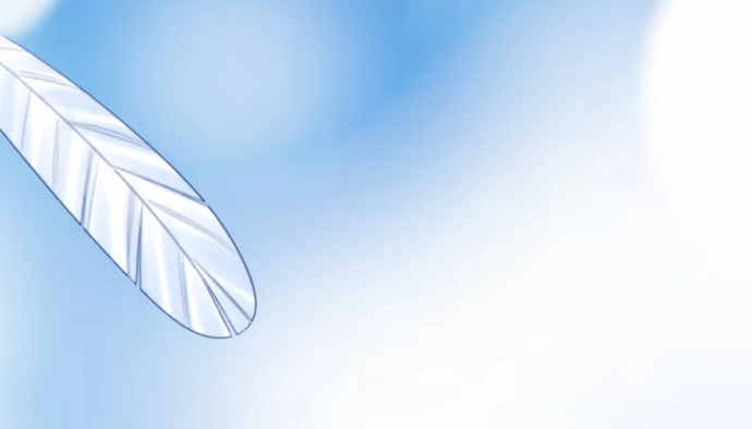《重生只为追影帝》268.停止 第66页