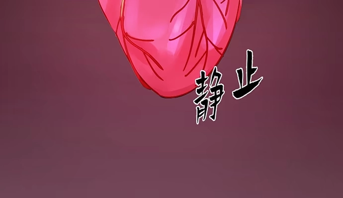 《重生只为追影帝》268.停止 第182页