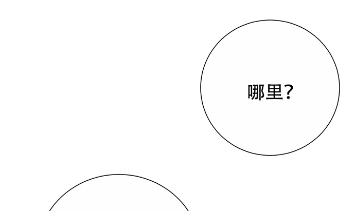 《重生只为追影帝》271.项链 第129页