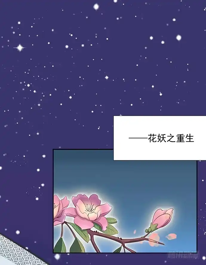 《重生只为追影帝》46.花妖之重生（上） 第27页