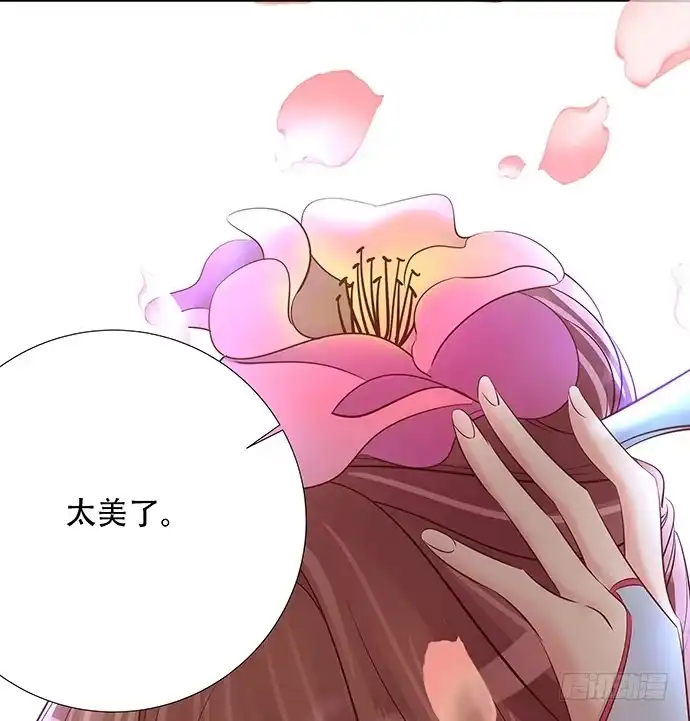 《重生只为追影帝》46.花妖之重生（上） 第42页