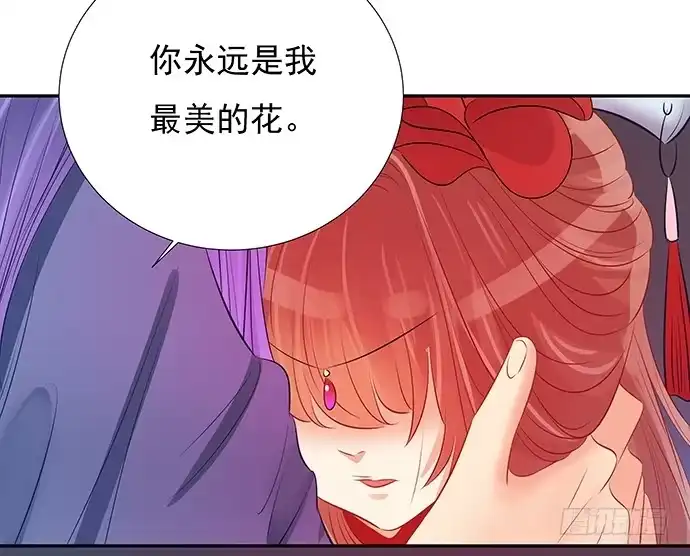 《重生只为追影帝》47.花妖之重生（下） 第48页
