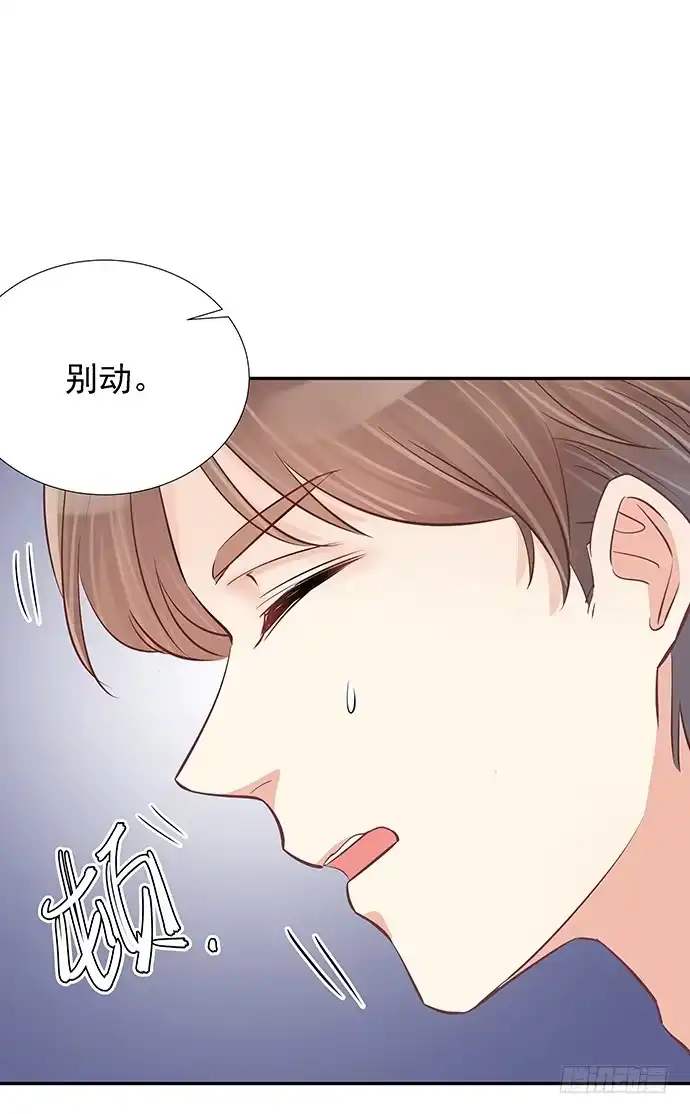 《重生只为追影帝》59.被她牵引的视线 第55页