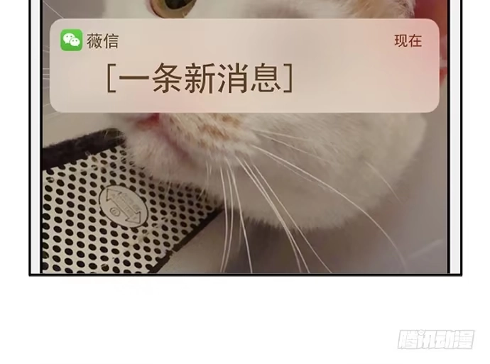 《重生只为追影帝》73.要回复他吗？ 第22页