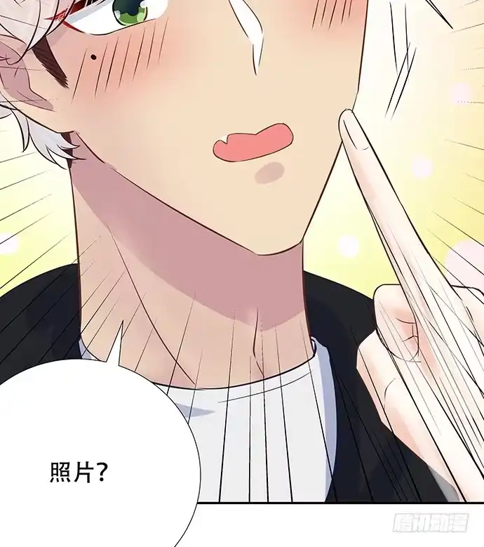 《重生只为追影帝》81.……是白的？ 第38页