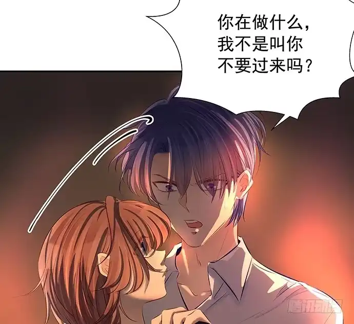 《重生只为追影帝》94.直接扑倒 第43页