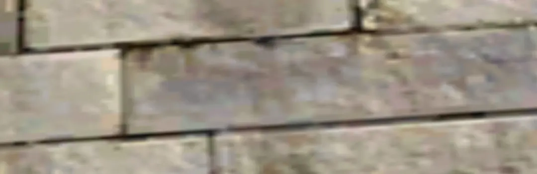 重生之我是大天神 - 第162话：李家宗祠 - 第107张图