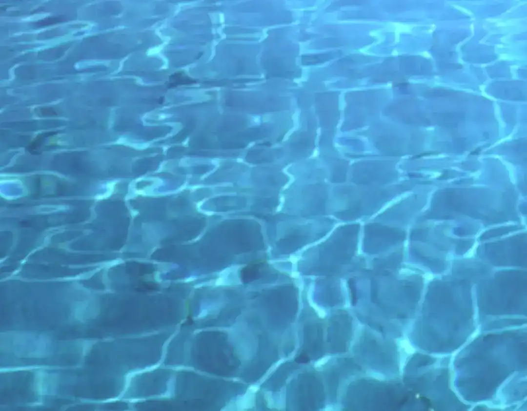 重生之我是大天神 - 169话：倭国船只 - 第45张图