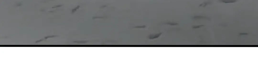 重生之我是大天神 - 第190话：雪山之巅 - 第134张图