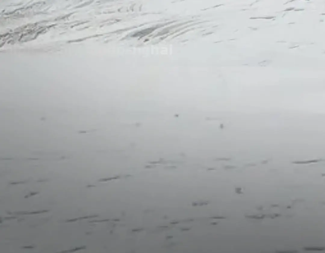 重生之我是大天神 - 第190话：雪山之巅 - 第133张图