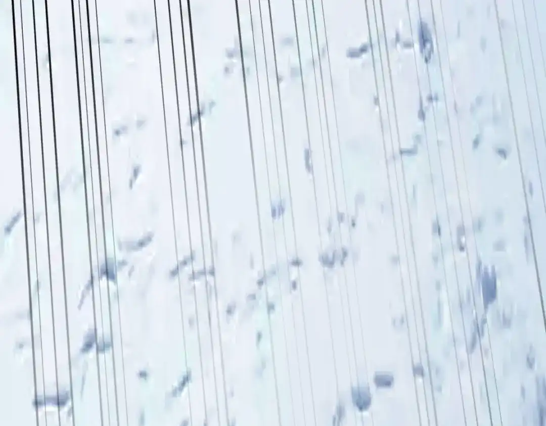 重生之我是大天神 - 第191话：班门弄斧 - 第77张图