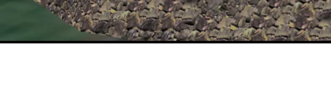 重生之我是大天神 - 第194话：暗影天幕 - 第70张图