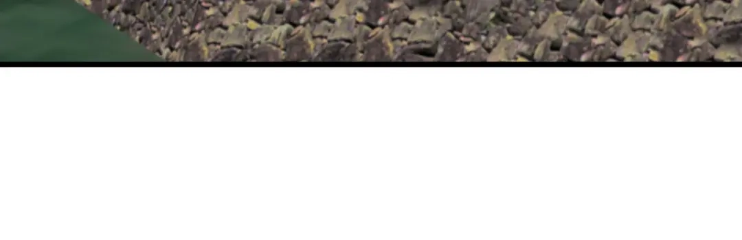 重生之我是大天神 - 198话：忍族灭亡 - 第93张图