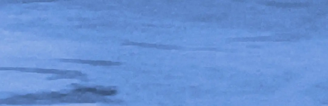 重生之我是大天神 - 第201话：巢穴 - 第72张图