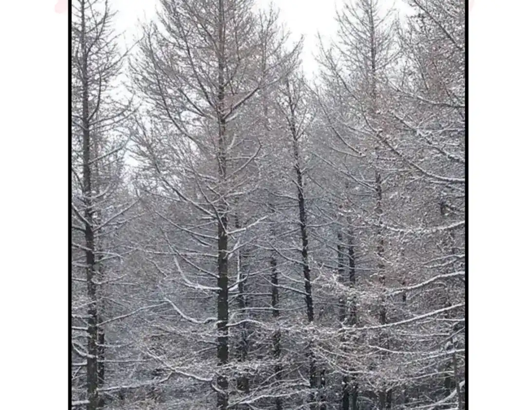 重生之我是大天神 - 第208话：灵泉 - 第3张图