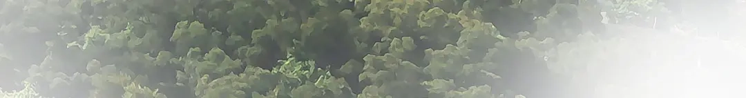 重生之我是大天神 - 第23话：武道院 - 第48张图