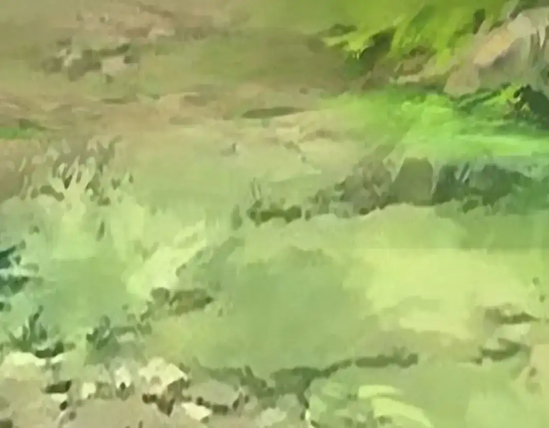 重生之我是大天神 - 第81话：南洋李家 - 第94张图