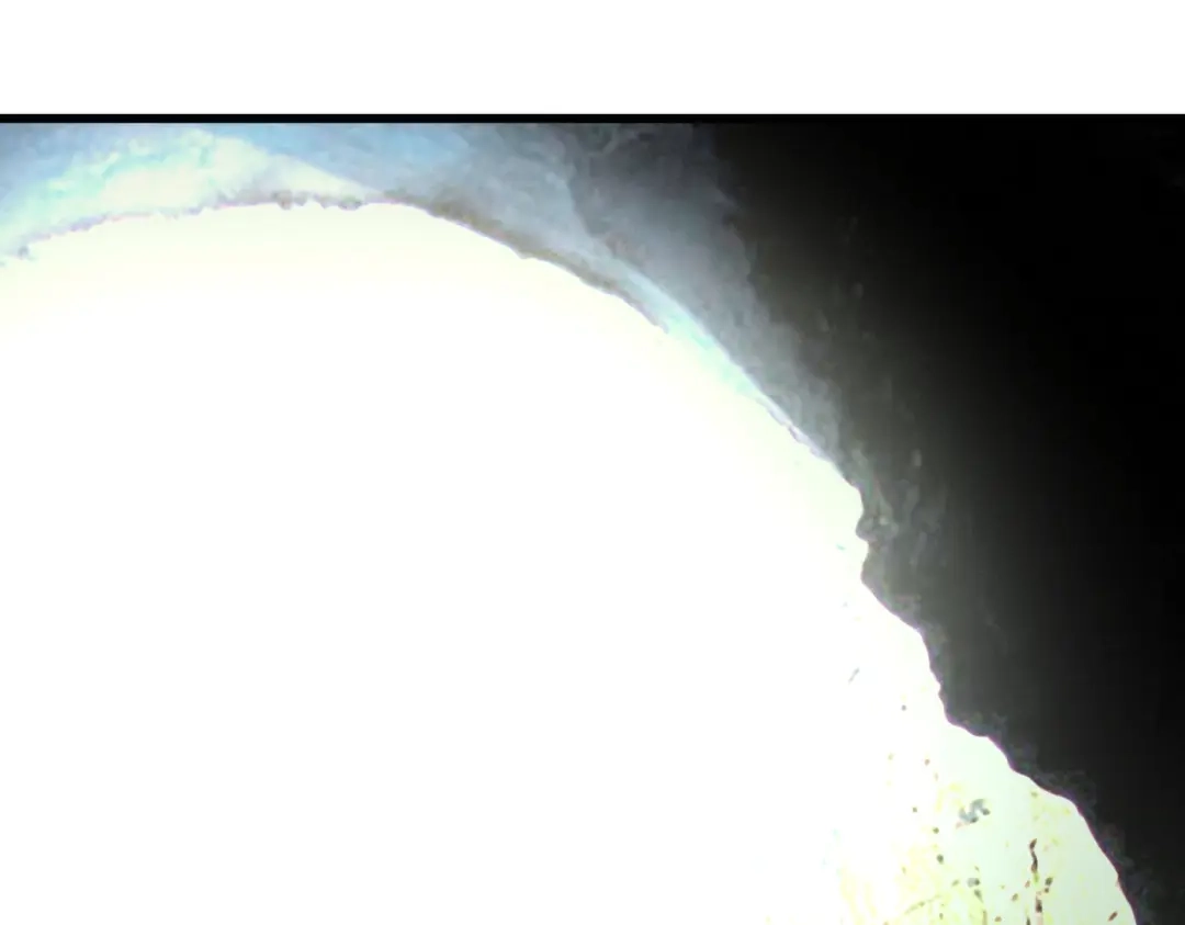 重生之我是大天神 - 第86话：冰蓝草 - 第97张图